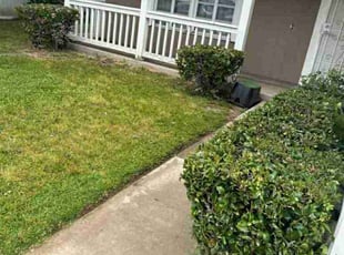 Bush Trimming by Edward Walsh for Sarah S. in Moreno Valley, CA