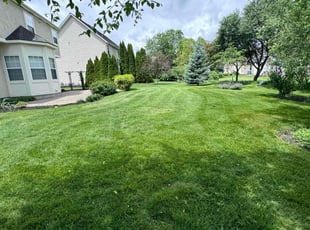 Shawna D.'s Lawn Care service result