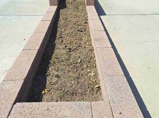 Weeding by Juan Gomez for Patrice G. in Camarillo, CA