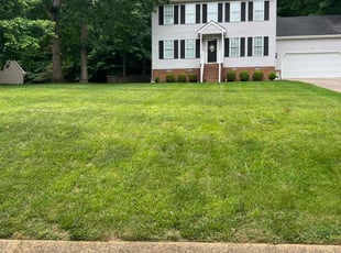 Deborah W.'s Lawn Mowing service result