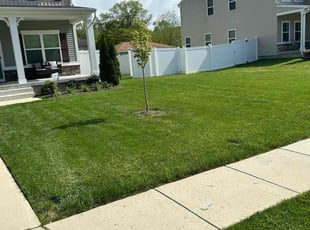 Callie A.'s Lawn Maintenance service result