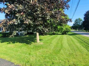 Sam C.'s Lawn Care service result