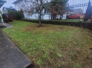Leaf Removal by Marydonna Barkley for Ayan M. in Tacoma, WA