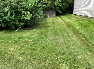 Marilyn D.'s Lawn Service service result