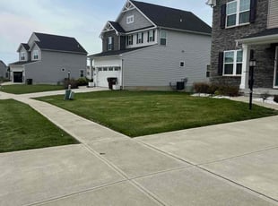 Ian N.'s Lawn Care service result