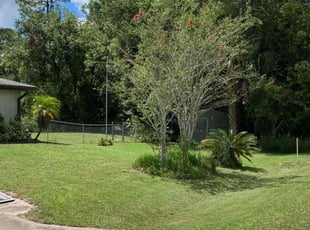Miguel P.'s Yard Cutting service result
