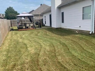 Dalton G.'s Lawn Mowing service result
