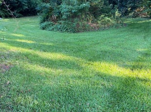 Susan S.'s Lawn Maintenance service result