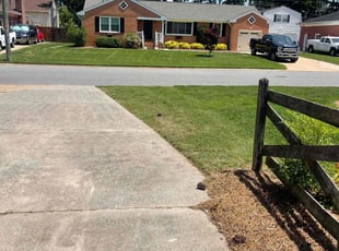 Helen H.'s Lawn Mowing service result
