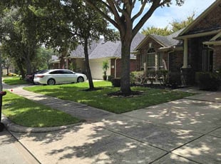 Mark C.'s Lawn Mowing Service service result