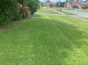 James W.'s Lawn Maintenance service result