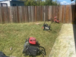Robin D.'s Grass Cutting service result