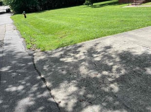 Sammi P.'s Lawn Mowing service result