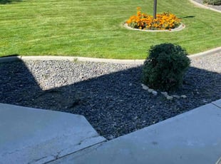 Lydia E.'s Lawn Maintenance service result