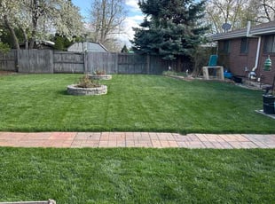 David C.'s Lawn Care service result