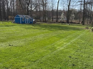 Theresa W.'s Lawn Care service result