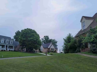 James K.'s Yard Cutting service result