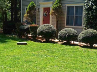 STANLEY E.'s Lawn Mowing service result