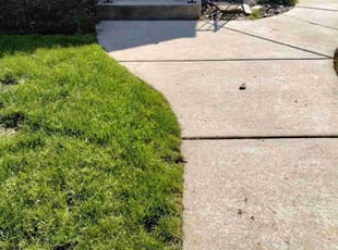 Samantha M.'s Grass Cutting service result