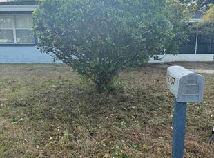 Bush Trimming by Anthony Howard for Adriana M. in Tampa, FL