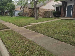 Enna P.'s Lawn Mowing service result