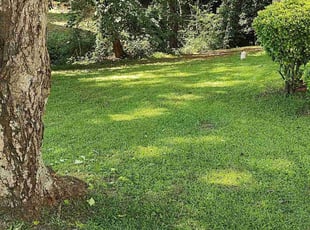 Jim E.'s Lawn Service service result