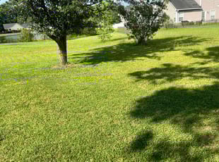 Takashi M.'s Lawn Care service result