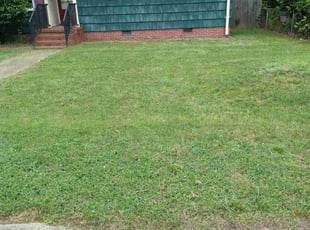Dave N.'s Lawn Mowing service result