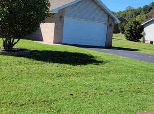 Jaime D.'s Lawn Mowing service result