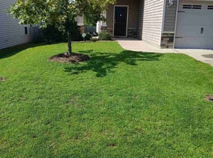 Cheryl H.'s Lawn Care service result