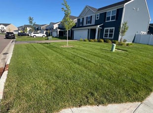 Rosemarie D.'s Lawn Mowing service result