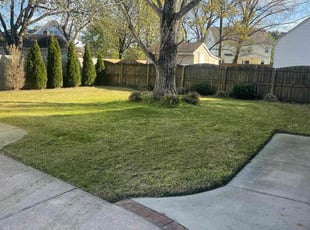 Josephine L.'s Lawn Mowing Service service result