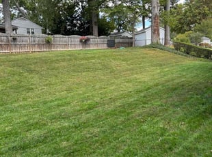Jennifer P.'s Lawn Mowing Service service result