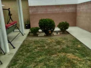 Bush Trimming by Ruben Jimenez Jr for Georgia P. in Lakewood, CA
