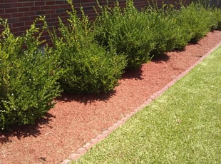 Landscaping by Kenneth Isw for Vanessa A. in Virginia Beach, VA