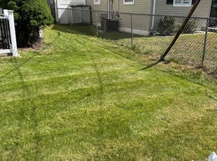 Hung H.'s Lawn Service service result