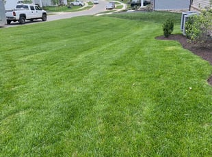 Ivy S.'s Lawn Care service result