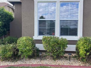 Bush Trimming by Ramon Mojica for Geri G. in Roseville, CA