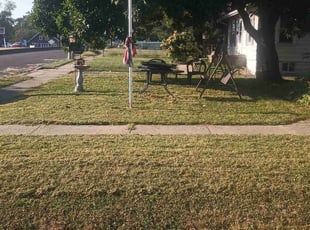 Michelle W.'s Yard Cutting service result