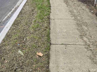 Leaf Removal by David Boyd for M c. in Chicago, IL