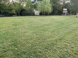 Richard M.'s Lawn Service service result