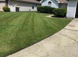 Aj B.'s Yard Cutting service result
