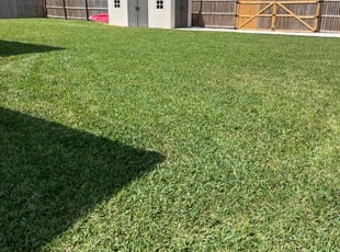 Robert W.'s Lawn Care service result