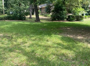 Patrick H.'s Lawn Maintenance service result