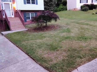 Cleanups by Jason Hembree for Fuller L. in Douglasville, GA