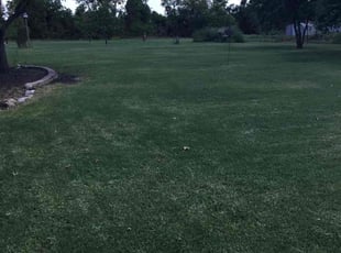 Devin F.'s Lawn Care service result