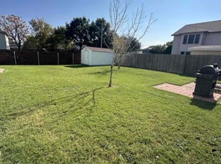 Michael L.'s Lawn Mowing service result