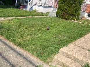 Carol M.'s Lawn Care service result