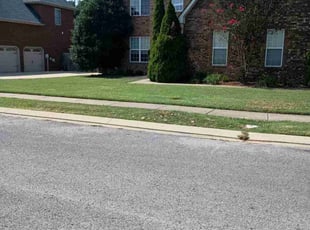 Sheryl G.'s Lawn Service service result