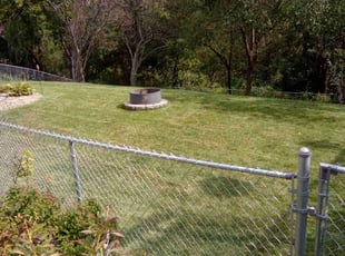 Phuong L.'s Yard Cutting service result